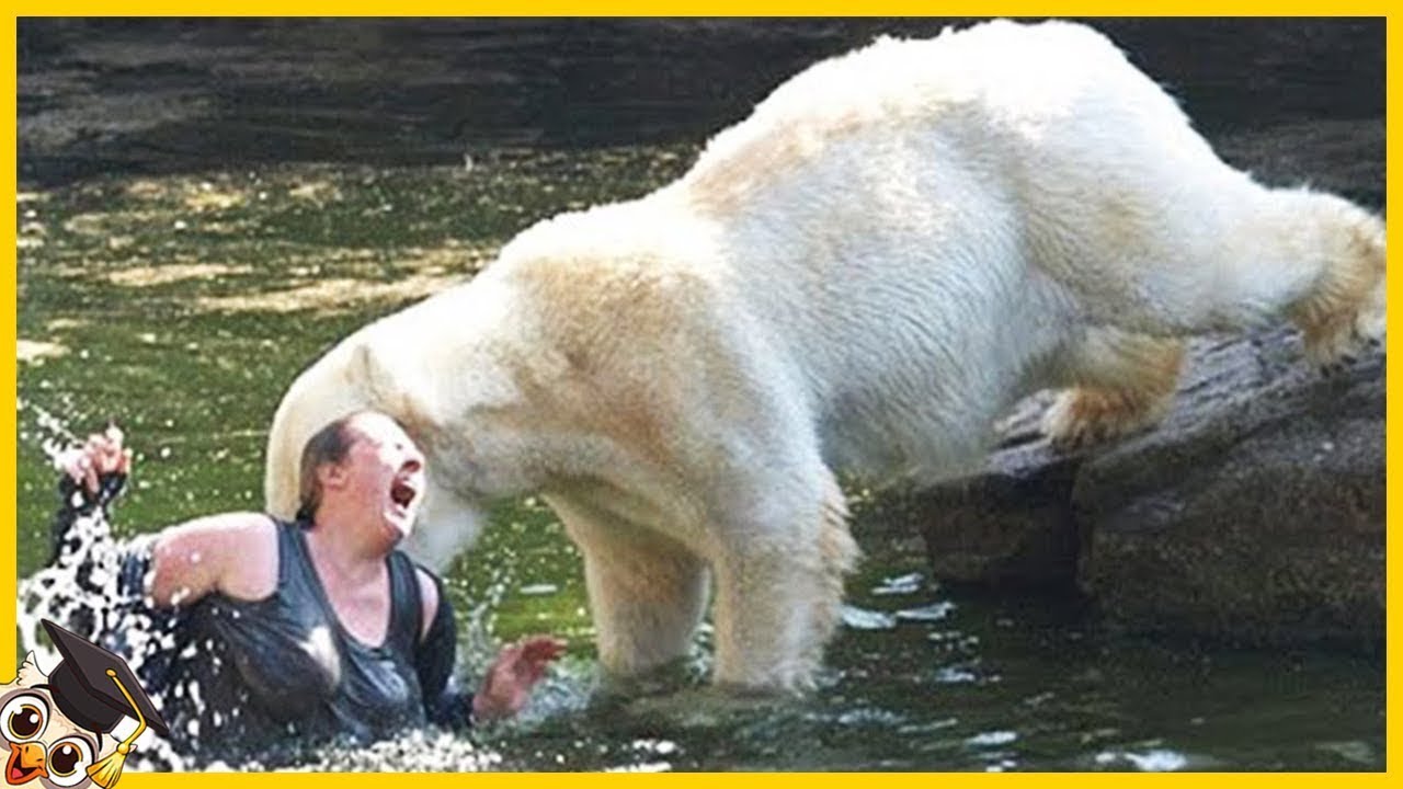 Die 10 dümmsten Menschen im Zoo