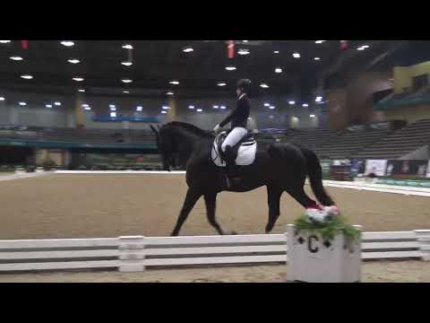 US Dressage Finals 2021 1st Level Musical Freestyle Championship