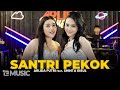 Download Lagu ARLIDA PUTRI FEAT SHINTA GISUL - SANTRI PEKOK Live Mp3 Free