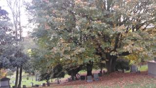 Rucker's Tomb Everett Washington