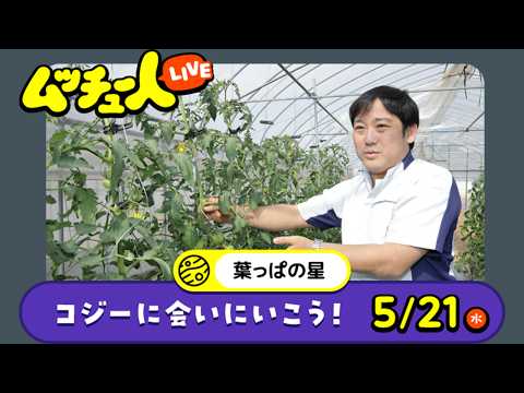 ムッチュー人LIVE｜葉っぱの星のコジーに会いに行こう