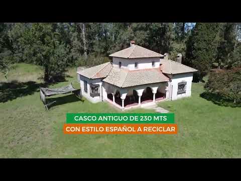 CAMPO MIXTO EN VENTA DE 228 HAS SOBRE RUTA 29 EN BRANDSEN