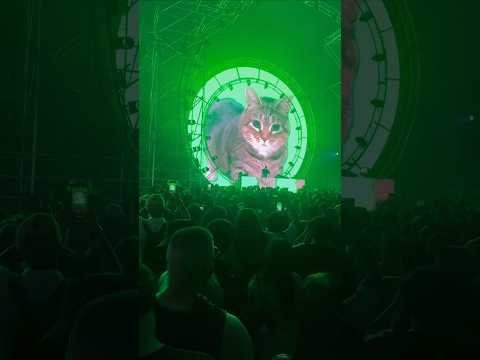 W&W playing "OIIA OIIA (Spinning Cat)" live #wandw #live #cat