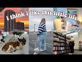 A Simple Day In My Little Life Book Shopping Watching The Sunset Apartment Updates A Sick Pup