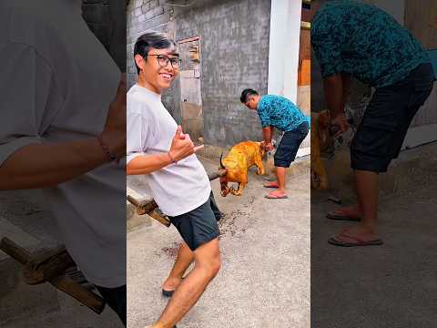 Bapak Genta Senja Omang bawa makanan khas bali yaitu Babi Guling mau sembahyang 🤭 #wiangfamily