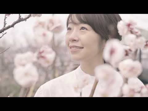 やまぐち映像図鑑 NO.124 冠山総合公園（梅）［光市］ | Kuriyama Park (Plum) [ Hikari-city ]