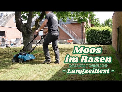 Moos im Rasen entfernen | Update | Waren die Maßnahmen erfolgreich?? | Verlosung