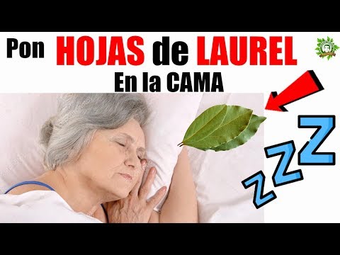 Hojas De Laurel En La Cama Para Aliviar El Insomnio