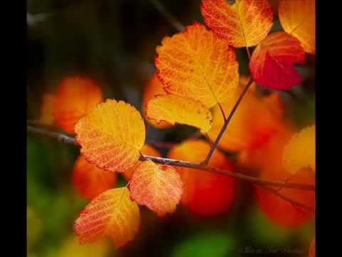 Autumn from Alexander Glazunov's The Seasons