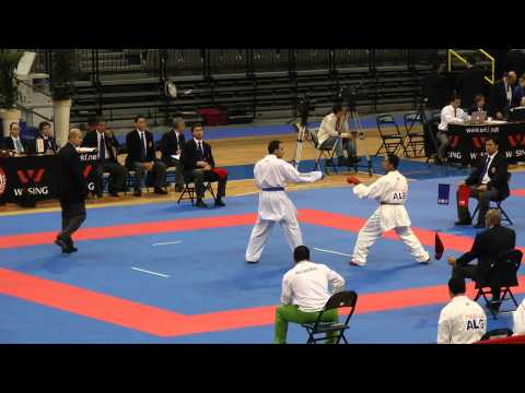 WKF 2010 10 29 Team ALG 2   KUW 2