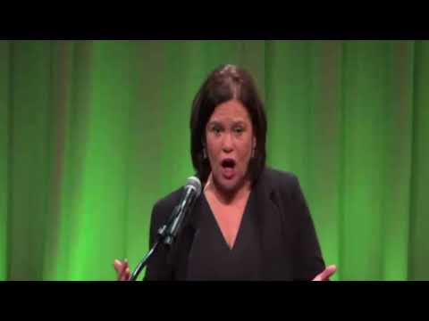 "Israel's vicious, criminal onslaught on Gaza must end now" – Mary Lou McDonald speaking in New York