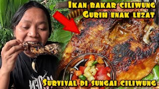 Download lagu GRILLED FISH, A NATURAL PRODUCT FROM THE CILIWUNG RIVER mp3 Download lagu GRILLED FISH, A NATURAL PRODUCT FROM THE CILIWUNG RIVER mp3
