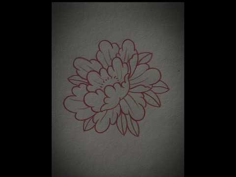 Easy Flower Outline  Step-by-Step