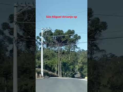 São Miguel arcanjo sp  ,bairro retiro