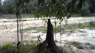 Download lagu J.Mizan - Desa Permai mp3 Download lagu J.Mizan - Desa Permai mp3