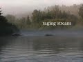 One Path (lyric video)