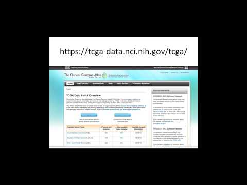 Bioinformatics and Biospecimen Workshop 2013 - Methylation Data by Dr. Bodour Salhia