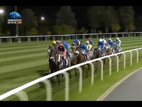 Racing at Meydan - Longines | Singspiel Stakes G3 - 11\01\2018 - Binbatl  بن بطل