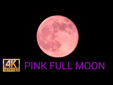Pink Full Moon 4K - 27 April 2021 - Relaxing Night Cricket Sound