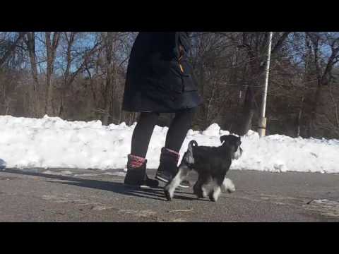 female Time for Change Smart Mustache 4,5 months