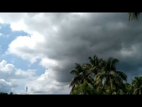 #edit #shortvideo #editing #flowers #capcut #capcutedit #full #bristi #bristivlogs #megh