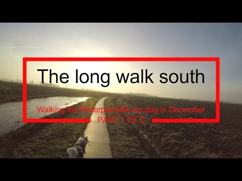 The long walk south (1/2) - The "Pieterpad" with my dog in December