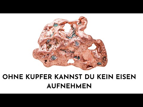 Kupfer -Nie wieder kalt -Der Turbo für deine Durchblutung, zum Braun werden und extrem antiparasitär