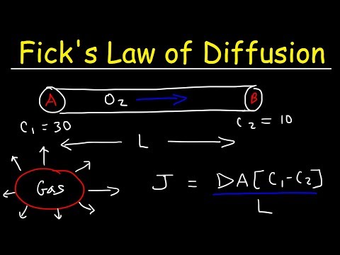 Fick's Law of Diffusion, Concentration Gradient, Physics Problems