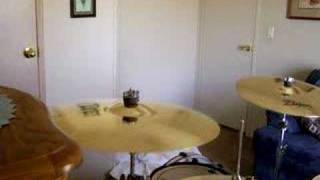 The Forecast - And We All Return To Our Roots