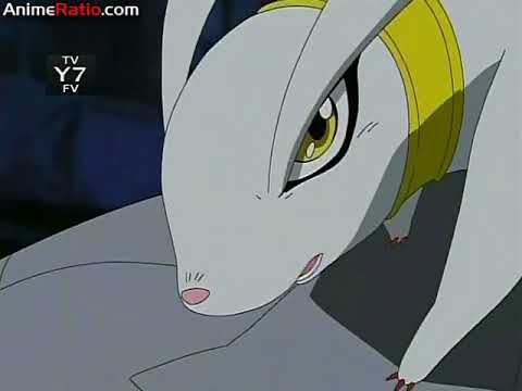 Digimon Data Squad - Kudamon Double Warp Digivolve to... Kentaurosmon!