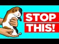18 Things Guinea Pigs Hate