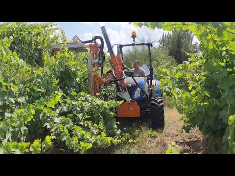 DESPONTADORA PROVITIS ST120