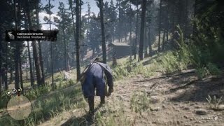 RDR2 - Woodpecker location + Tips (Description)