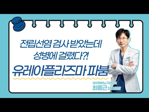 방송&학술 활동 | 브이맨비뇨기과