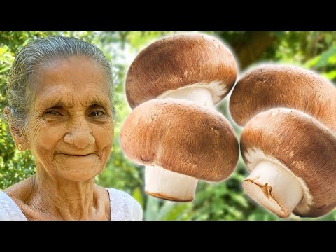 Button Mushroom Curry