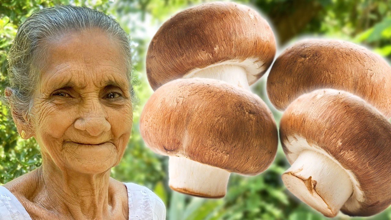 Button Mushroom Curry