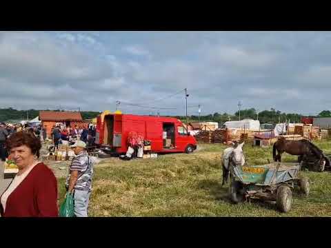 Atmosferă de târg la Cârniceni, în comuna Tiganasi