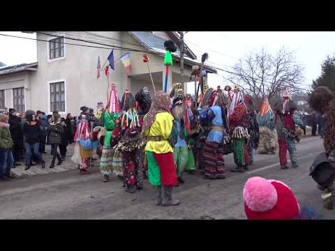 Ursul de la Blagesti 2018 - 2019 part 5