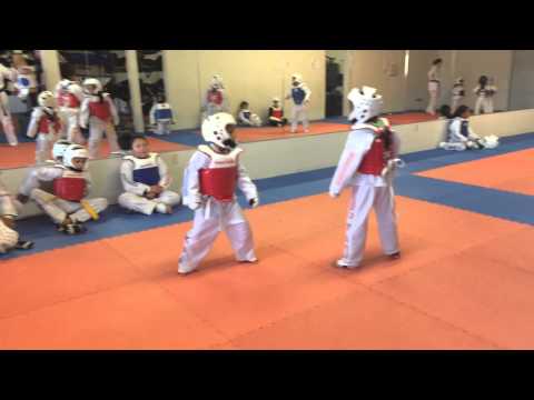 Little Kids Sparring Class Preview