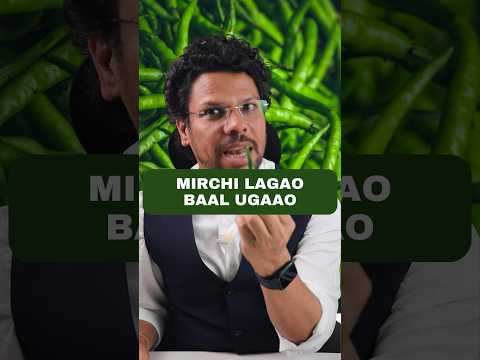 Hair Regrowth in 42 Days by Chilli  #viral #Shorts #Hair loss # Hair Fall  # Hair regrowth #Adon