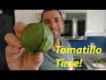 Tomatillos | What they are and how to use them
