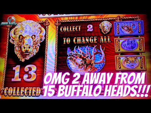 2 AWAY from 15 BUFFALO HEADS!!! Over 70 SPINS!! 🦬 | Buffalo Gold slot machine