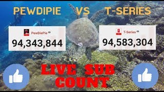 pewdiepie vs t series live sub count