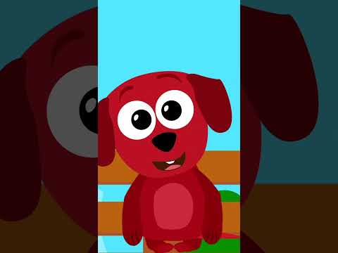 Kirpi Piki ile Tekrarla! Eğilelim, Kalkalım ve Sandalyemizi Kapıp Oturalım! #kidsshorts #kirpipiki