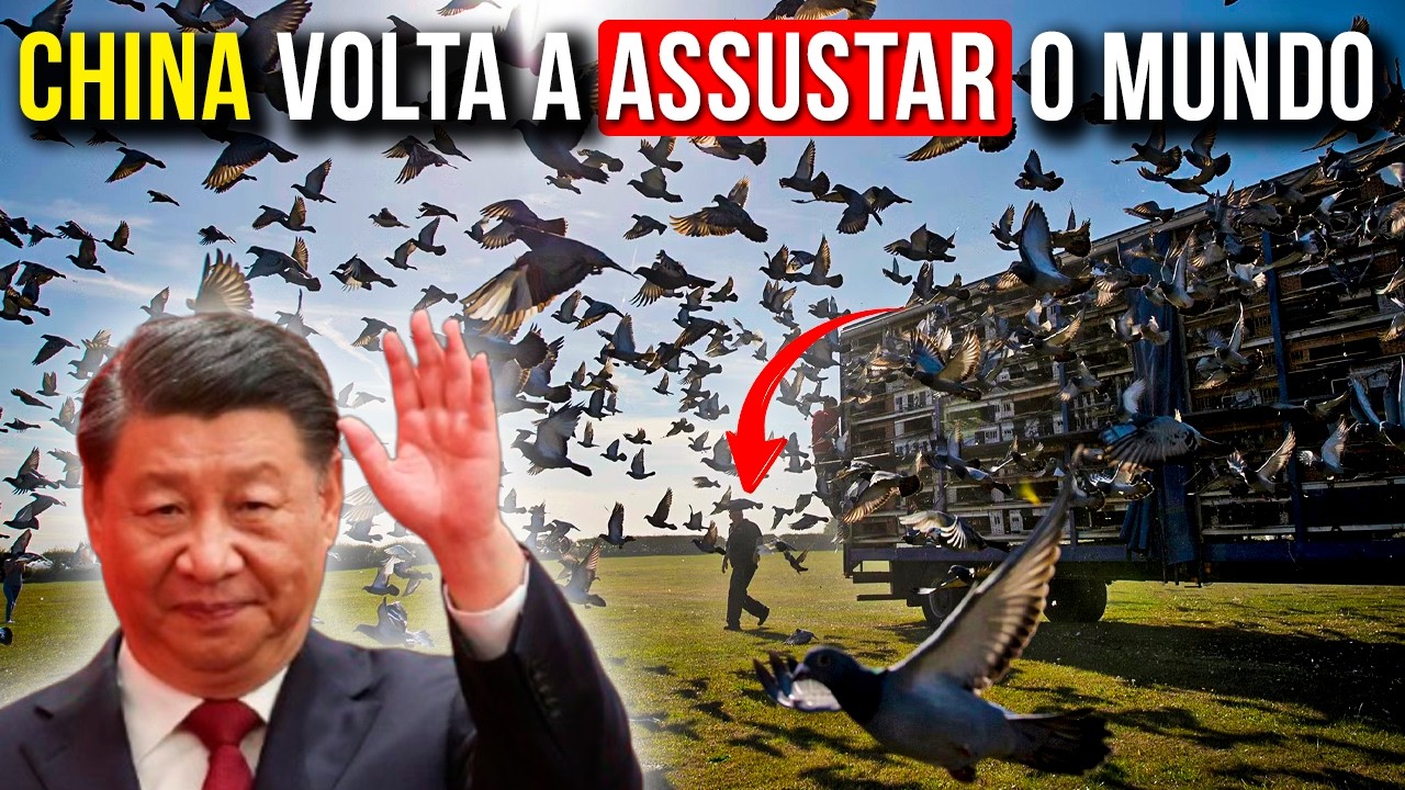 China RELEASED 1 MILLION Pigeons and What Happened Next SHOCKED THE WHOLE WORLD!