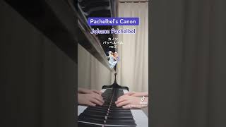 Download lagu Pachelbel's Canon - Johann Pachelbel 🐰 カノン - パッヘルベル no.2 mp3