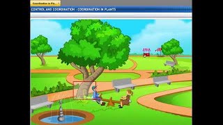 CBSE Class 10 Science, Control and Coordination -3, Coordination in Plants