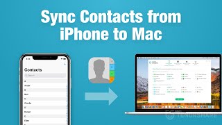 How to Sync Contacts from iPhone to Mac without iTunes or iCloud 2020