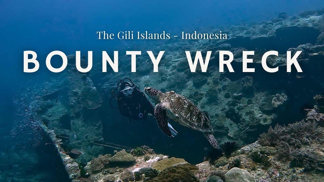 Experience the thrill with this enthralling video of the Bounty Wreck Dive.