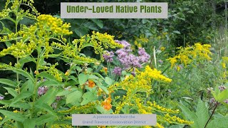 Under-Loved Native Plants Webinar 2020